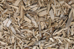 biomass boilers Newton Wood